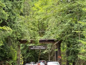 Cars lining up at the Nisqually Entrance station